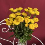 Цветы поштучно: как выбрать идеальный цветок для особого случая